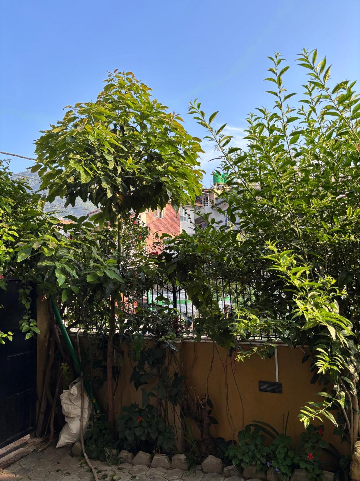 Mums Homestay Kathmandu Luaran gambar